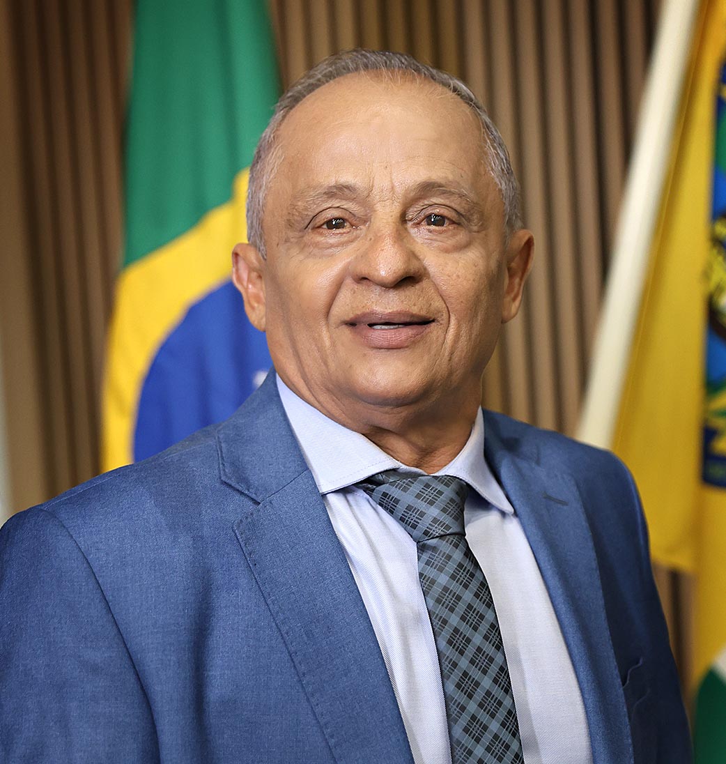 Almeida Ferreira Da Silva